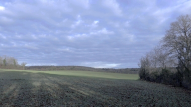 edefrance_fieldstill1