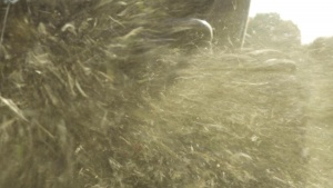 edefrance_fieldstill4