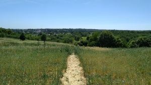 edfrance_entre_juillet_viewabove
