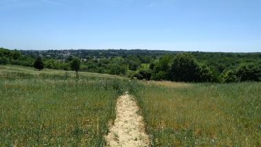edfrance_entre_juillet_viewabove