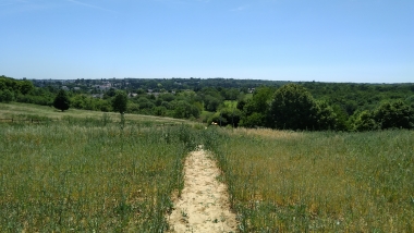 edfrance_entre_juillet_viewabove