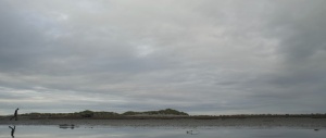 edfthegreenvessel2bis